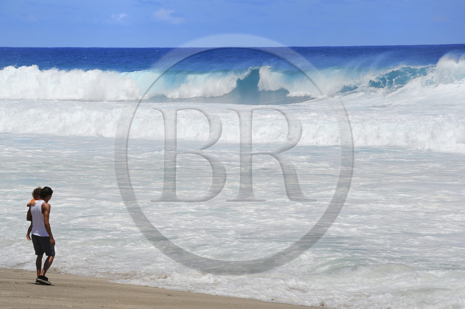 France, île de la Réunion, la côte sud, plage de Grand-Anse