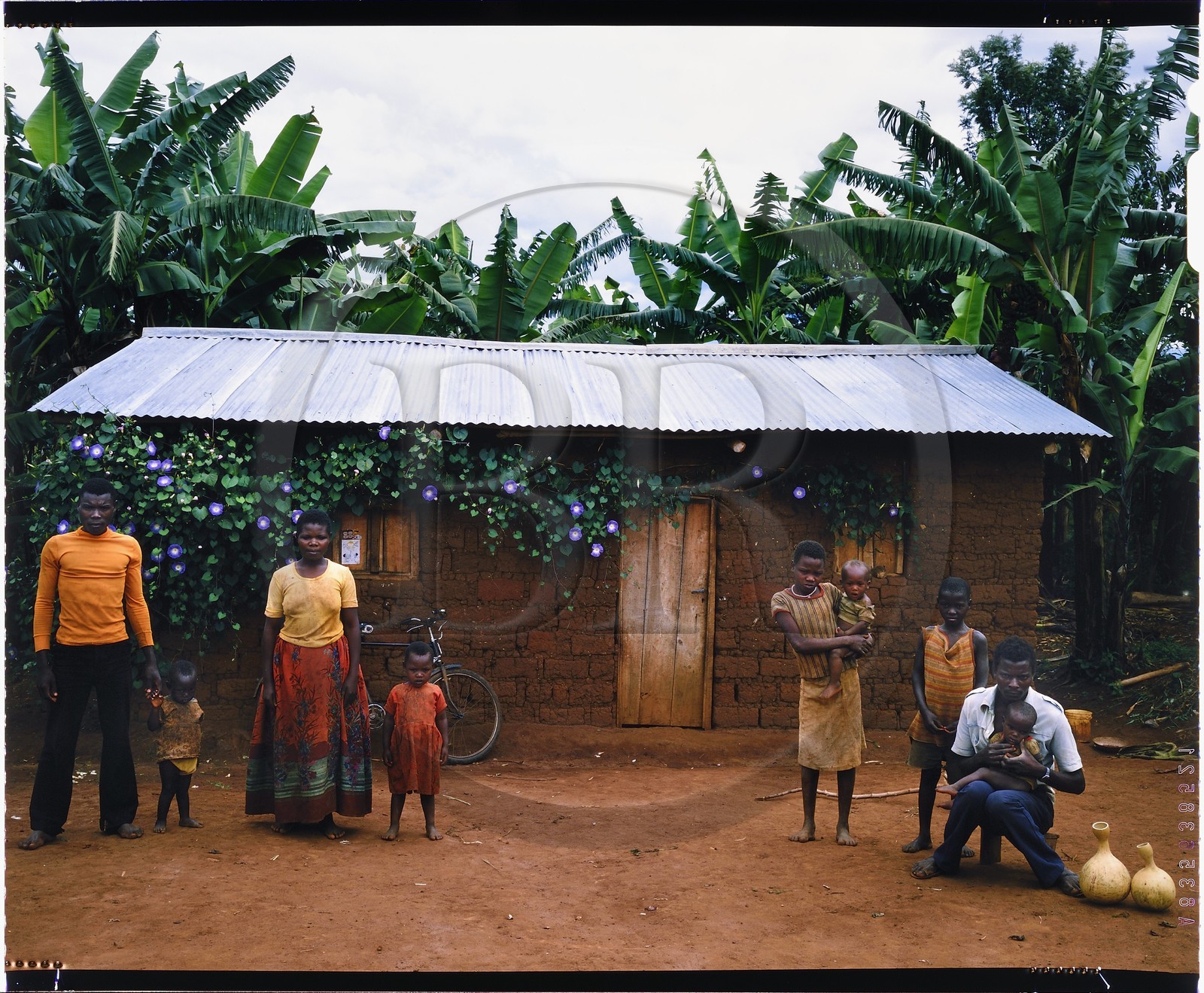 Burundi, Kirundo Province, Lake Cohoha region, Hutu peasant family posing in front of a modern hut, traditional habitat disappears in favor of square clay huts, whether or not coated with corrugated iron (4x5 reversal film reproduction)