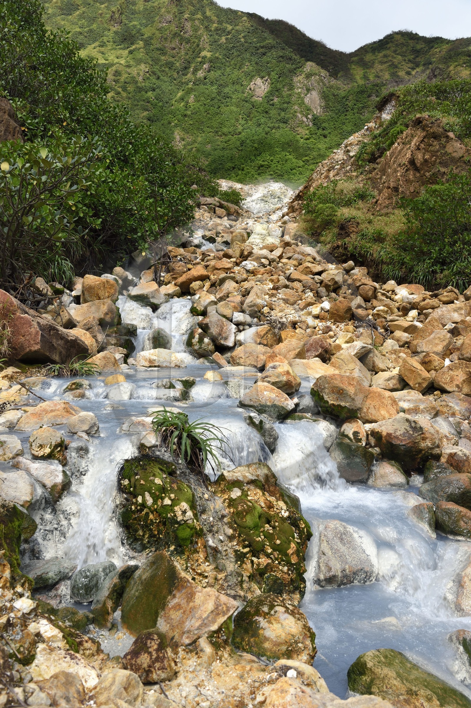 Caraïbes, Ile de la Dominique, Castle Bruce, Parc national du Morne Trois Pitons classé Patrimoine Mondial de l'UNESCO, la Vallée de la Désolation, rivière aux sources d'eau chaude dont la couleur unique est due à la présence de calcium, de carbone, de soufre et de fer, sur le sentier menant au Boiling Lake