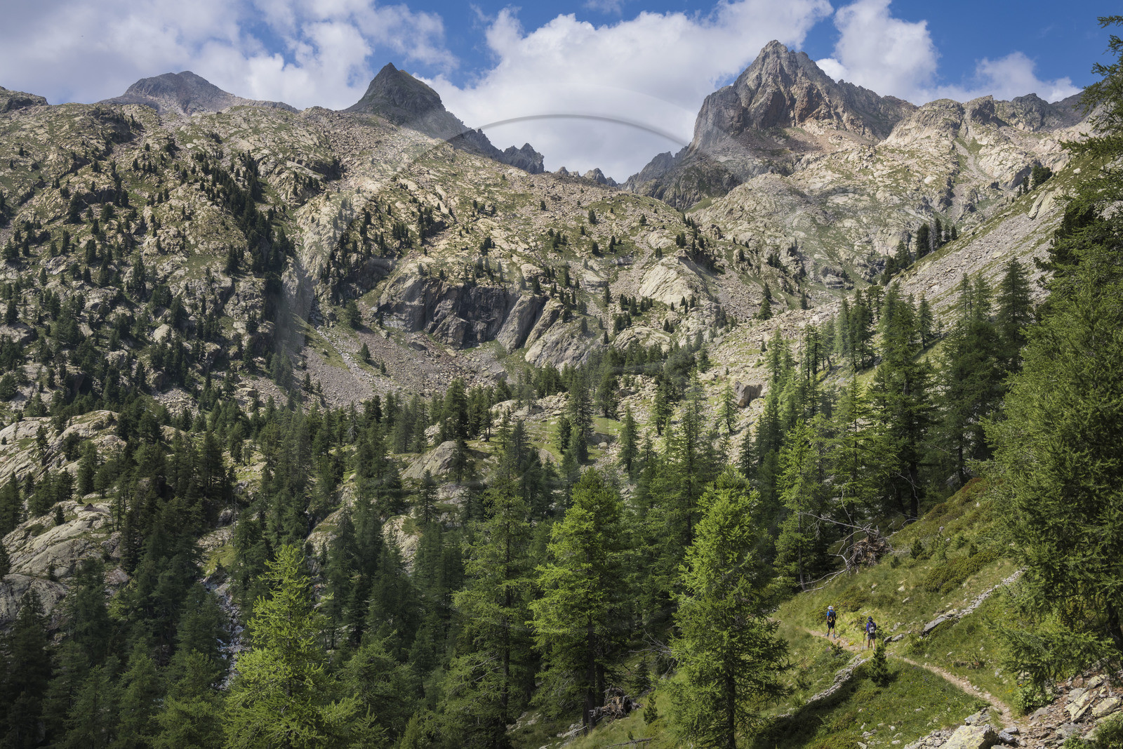 France, Alpes-Maritimes (06), parc national du Mercantour, Haute-Vésubie, Saint-Martin-Vésubie, Val du Haut Boréon, randonneurs en marche pour le refuge de Cougourde, le Mont Pelago à gauche et la Cime Guilié (2999m) à droite en arrière-plan