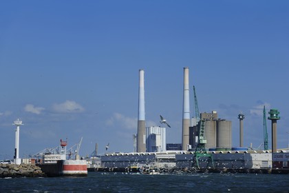 France, Seine-Maritime (76), Le Havre, bateau de pêche entrant au port suivi par une nuée de goélands