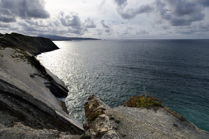 France, Pyrénées-Atlantiques (64), Pays-Basque, la Corniche Basque, Urrugne, la côte Atlantique vers Socoa, falaises de flysch France, Pyrenees Atlantiques, Basque Country coast, the Basque Corniche, Urrugne, the Atlantic coast towards Socoa, flysch cliffs
