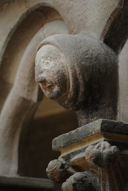 France, Côte d'Or (21), Semur-en-Auxois, l'église Notre-Dame