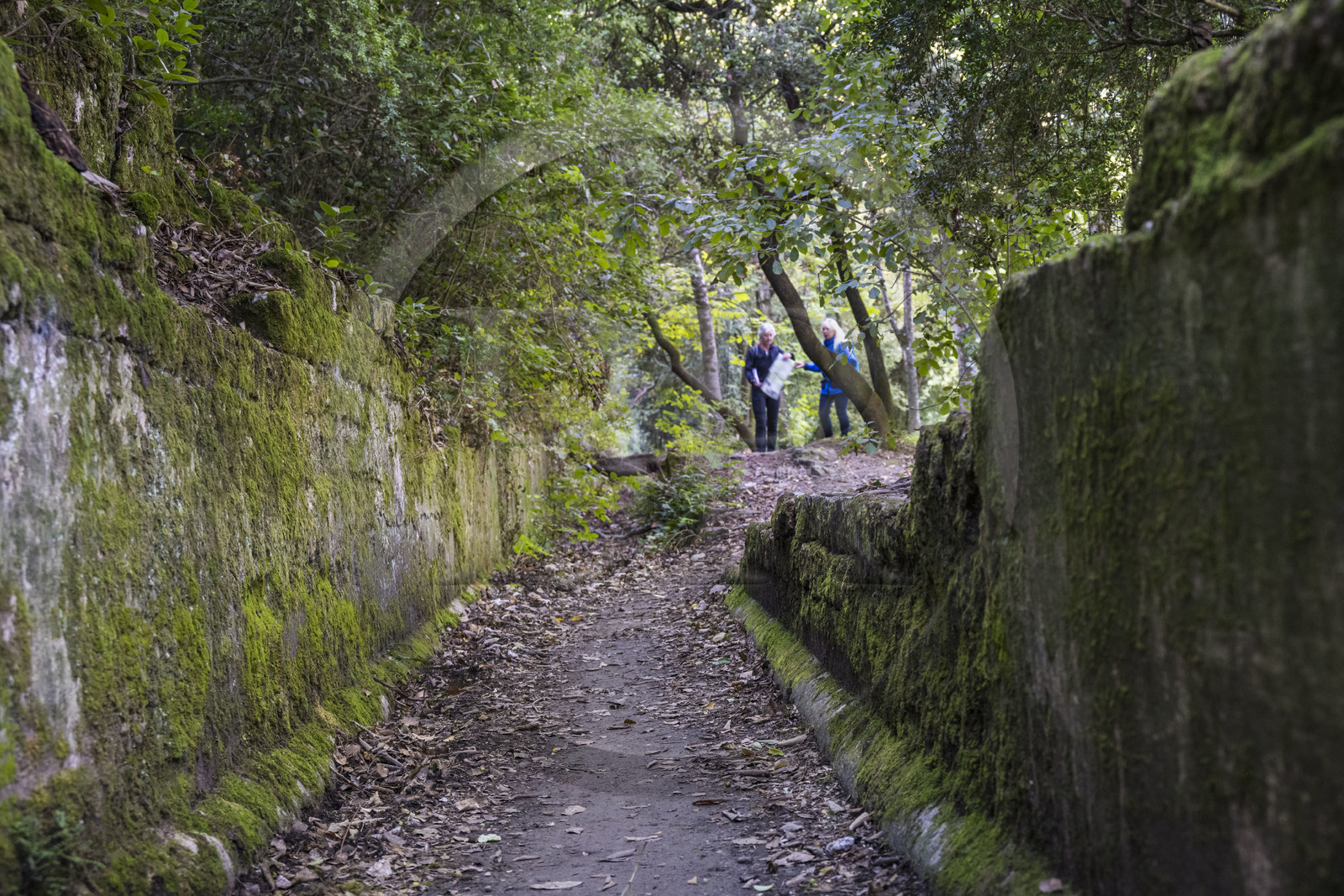 France, Gard, Uzès, Eure valley, remains of the Roman aqueduct over 52 km long which brought water from the Fontaine d'Eure at the foot of Uzès to Nimes