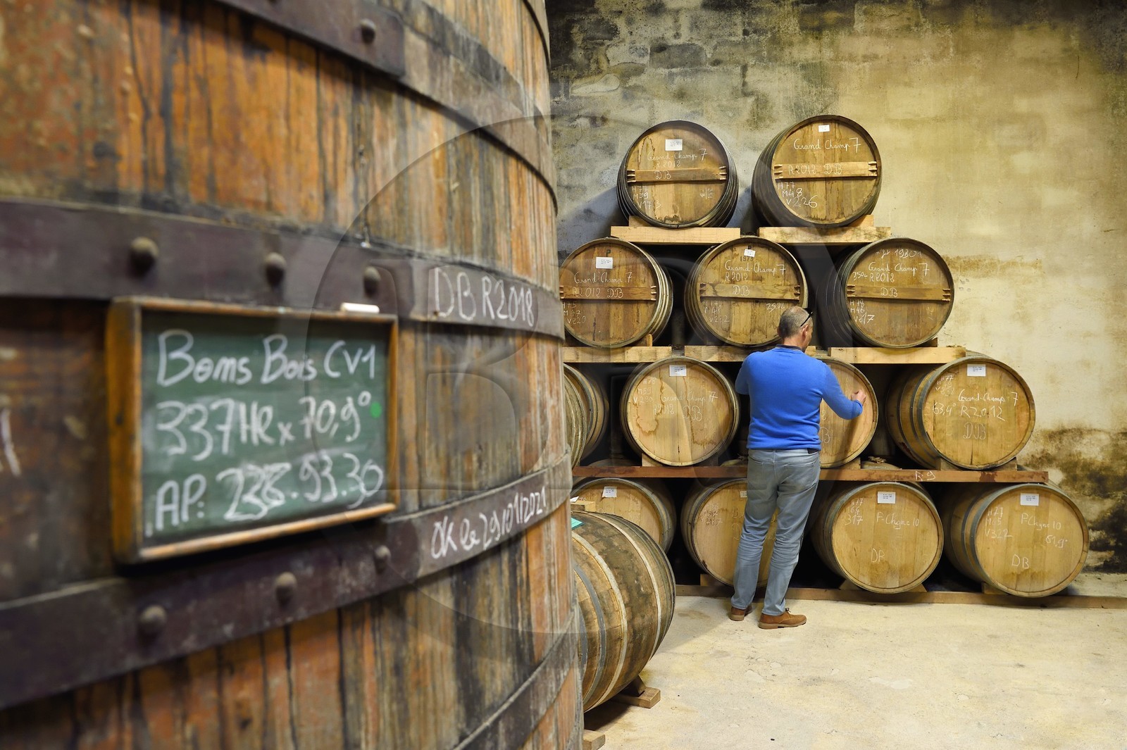 France, Charente (16), Sireuil, Distillerie des Moisans, dans les chais de vieillissement et d'assemblages, inscription à la craie du contenu d'un tonneau