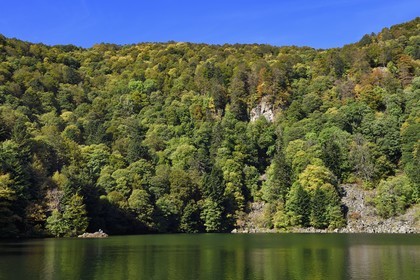 France, Haut-Rhin (68), Parc naturel régional des ballons des Vosges, Rimbach-près-Masevaux, le Lac des Perches en dessous de Gazon Rouge dans les Vosges