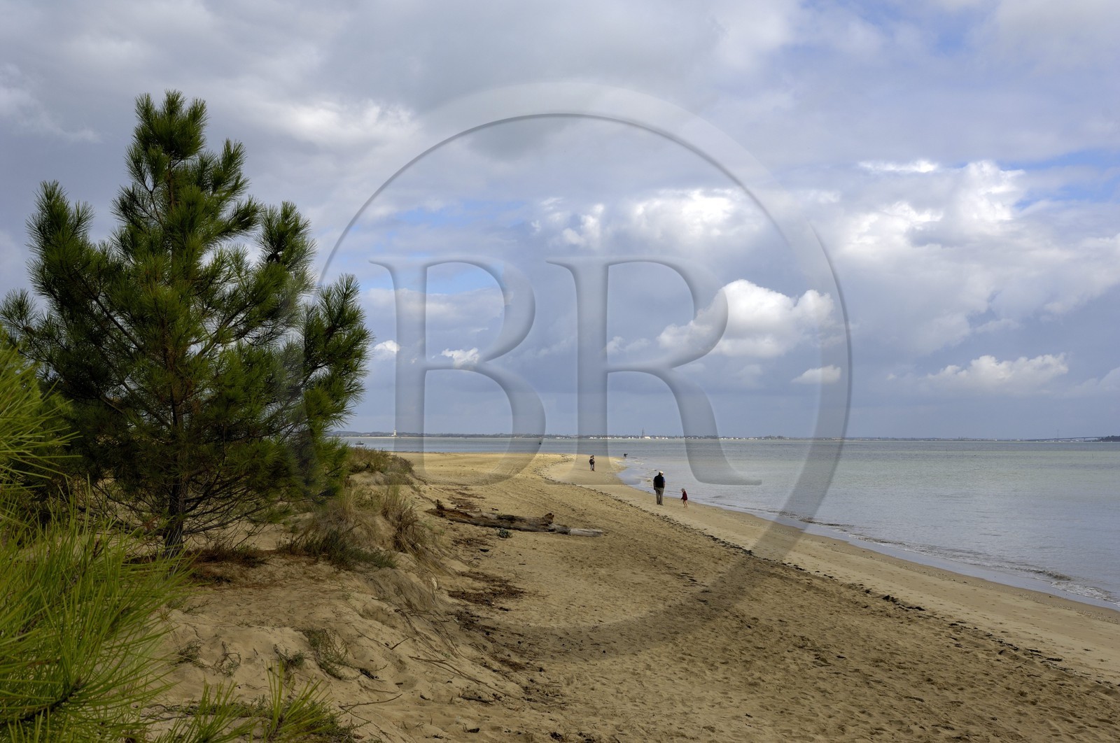France, Charente-Maritime (17), Ile d'Oléron