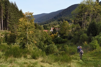 France, Vosges, Le Valtin, hike in the Valtin valley in the upper Meurthe valley on the Valtin panorama trail