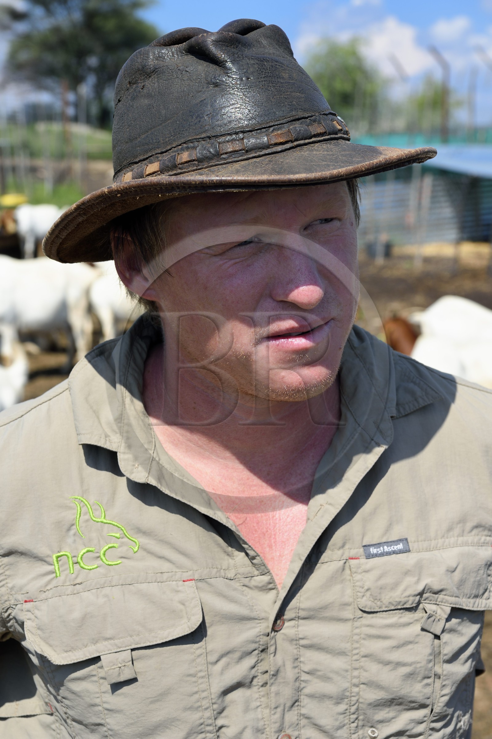 Namibie, region de Otjiwarongo, le fermier Paul Visser qui travaille aussi pour le Cheetah Conservation Fund
