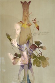 France, Meurthe-et-Moselle (54), Nancy, rue Saint-Jean, ancienne banque Renauld et actuelle BNP Paribas de style Art Nouveau, plan de Emile Gallé pour un vase, portrait de Vincent Noyoux