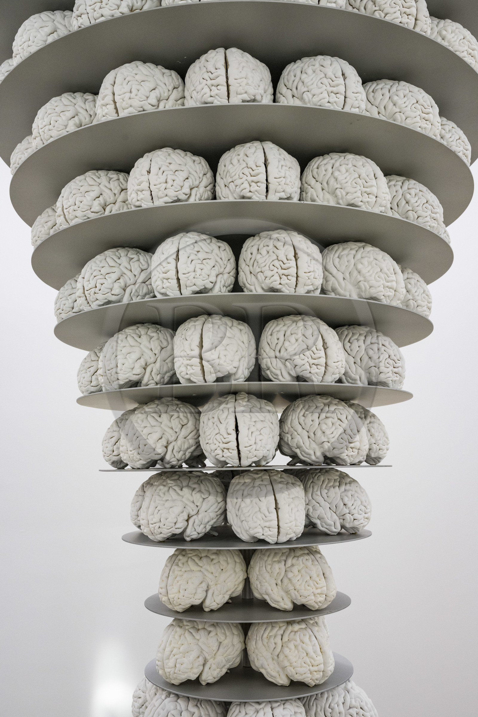 Suisse, Bâle, le Kunstmuseum Basel Gegenwart (musée d'Art contemporain), exposition Heute Nacht getraumt (rêvé cette nuit) proposée par l'artiste Ruth Buchanan, Porte-marchandises avec des cerveaux (1989-1997) par Katharina Fritsch