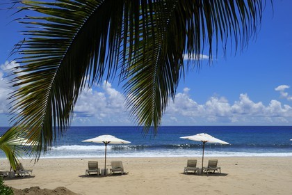 France, île de la Réunion, la Côte Ouest, commune de Saint Gilles les Bains, plage de Boucan Canot, l'hôtel de luxe Le Saint Alexis