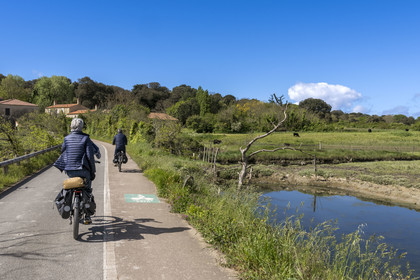 France, Vendée (85), Talmont-Saint-Hilaire, cyclistes sur la piste de la véloroute Vendée Vélo Tour et Vélodyssée en bordure des anciens marais salants de la Guittière