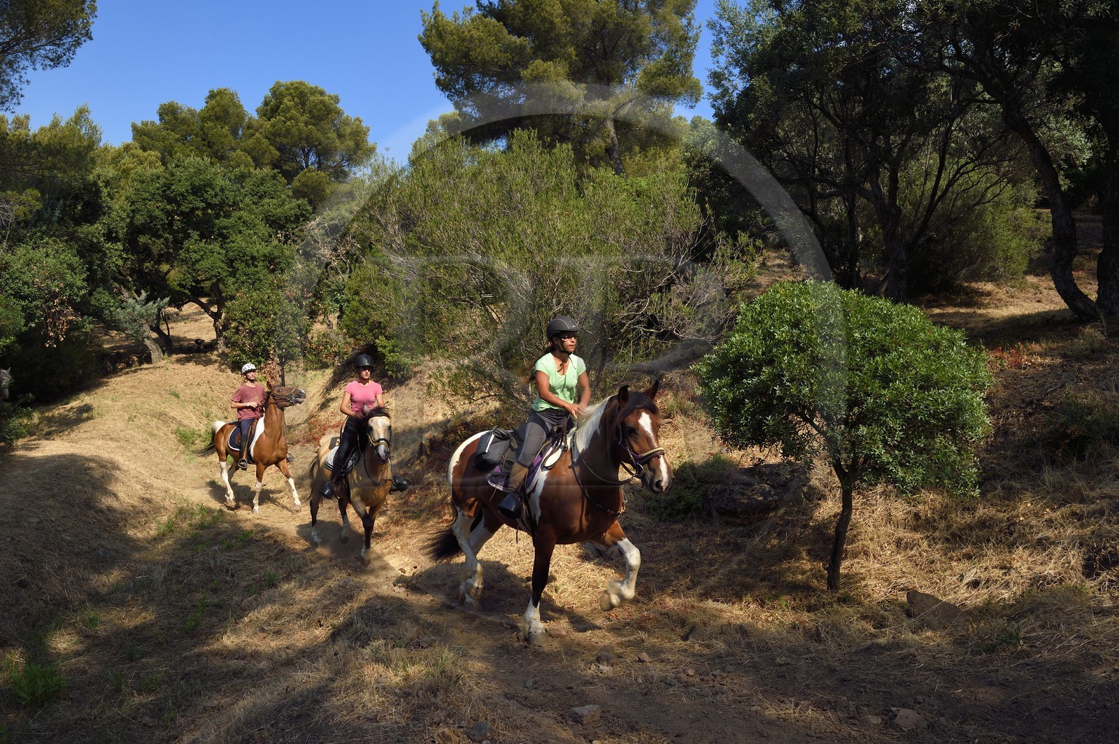France, Var (83), Agay commune de Saint-Raphaël, cavaliers en randonnée dans le massif de l'Estérel