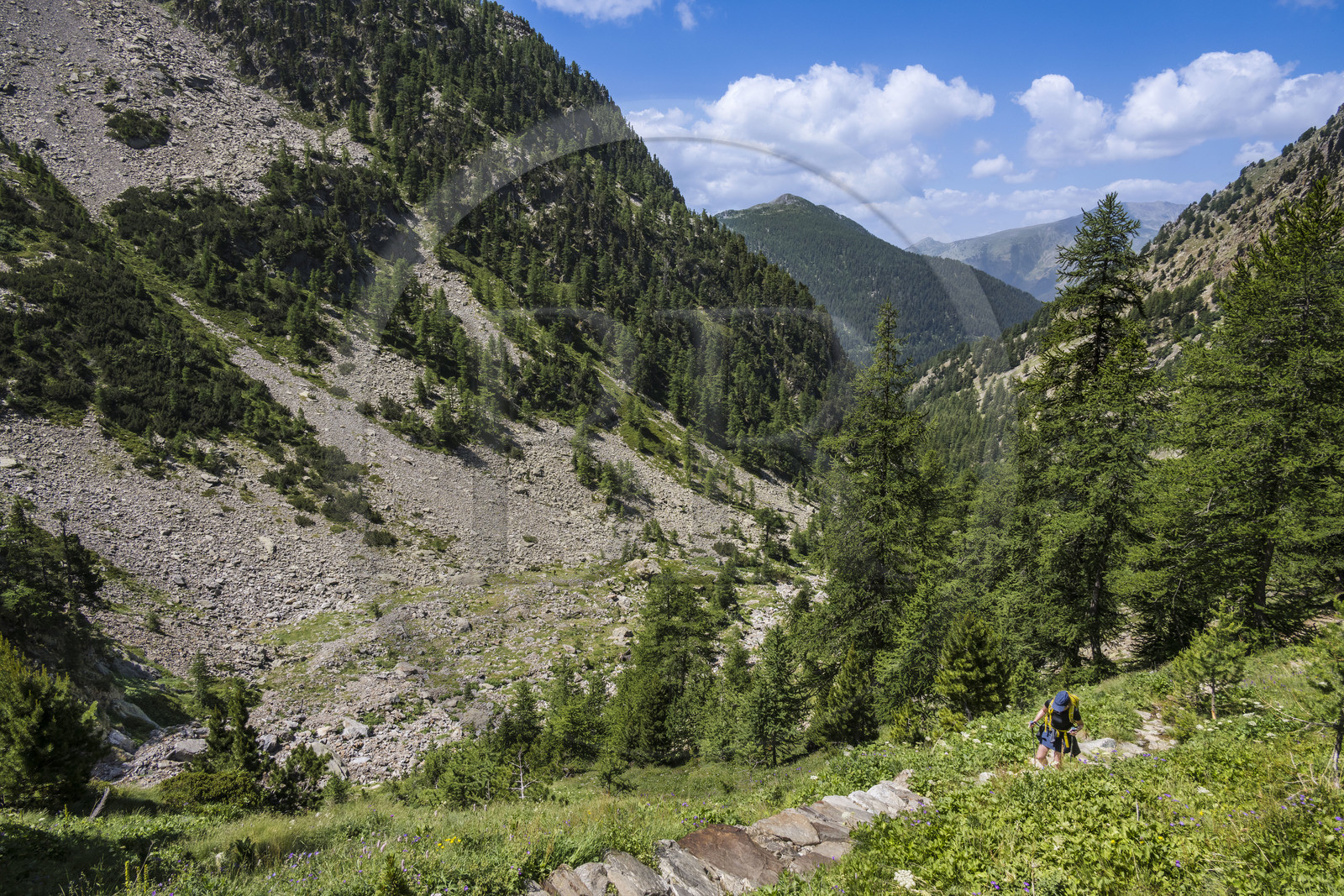 France, Alpes-Maritimes (06), parc national du Mercantour, Haute-Vésubie, Saint-Martin-Vésubie, Val du Haut Boréon, randonneurs en marche pour le lac de Trécolpas