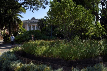 France, Alpes-Maritimes (06), Menton, Jardin du Palais de Carnolès, son parc botanique abrite la plus importante collection d’agrumes d’Europe