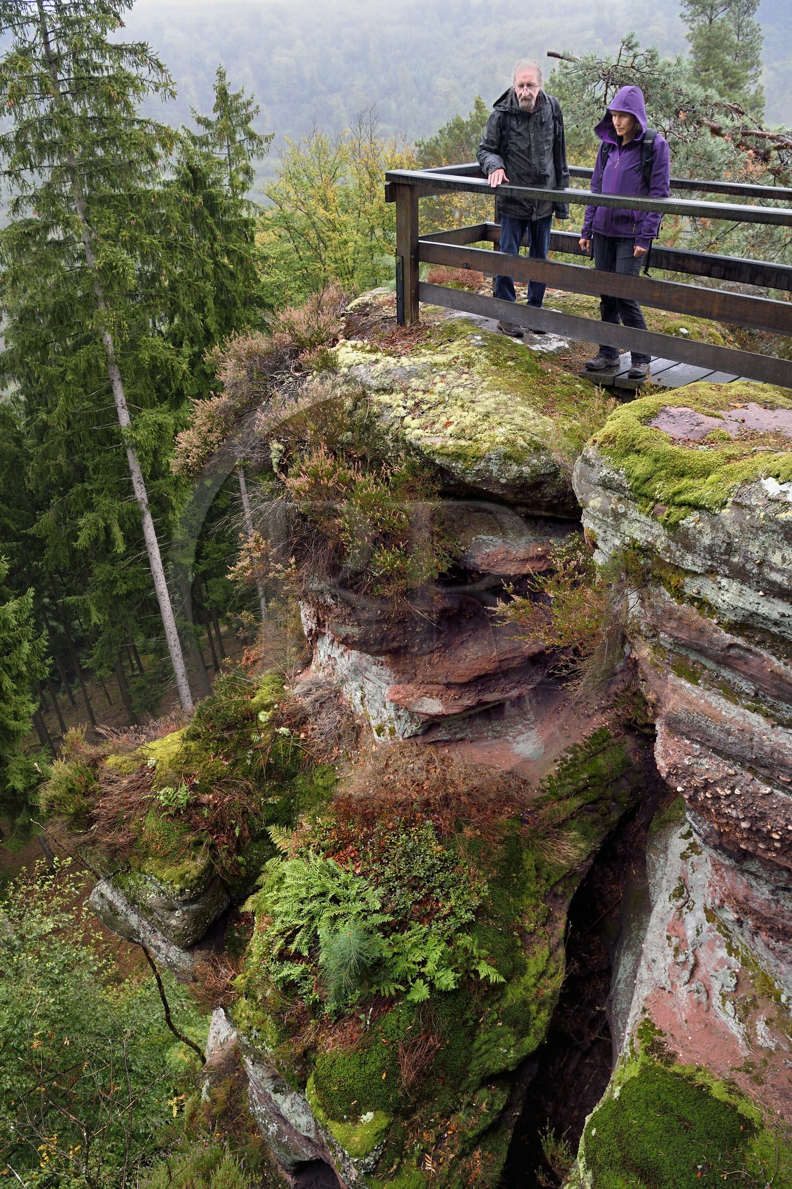 France, Bas-Rhin (67), Parc Naturel régional des Vosges du Nord, La Petite Pierre, randonneurs sur le sentier des Trois Roches au Rocher du Saut du Chien
