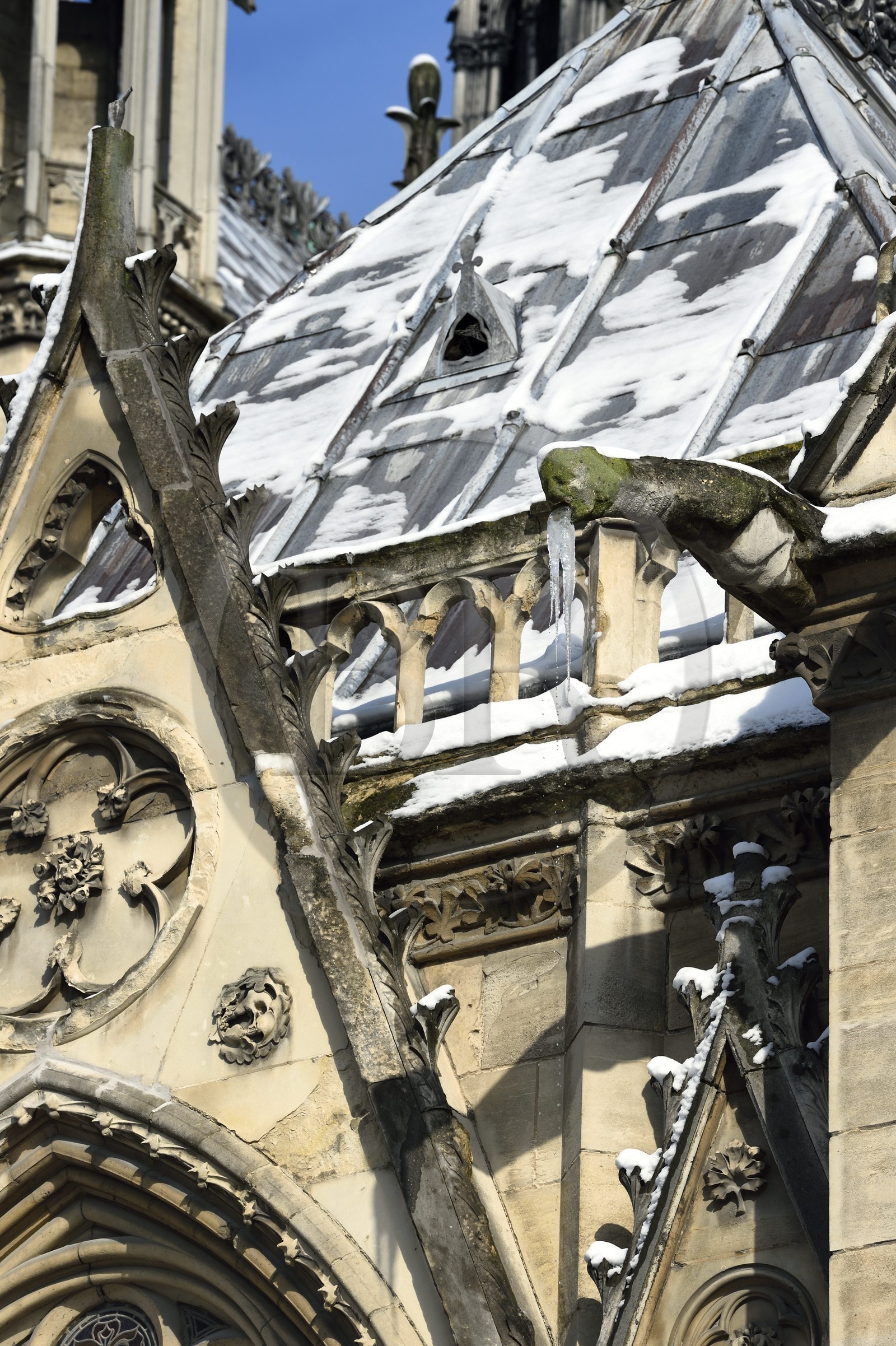 France, Paris (75), les rives de la Seine, classées Patrimoine Mondial de l'UNESCO, la Cathédrale Notre-Dame sous la neige sur l'Ile de la Cité, gargouilles
