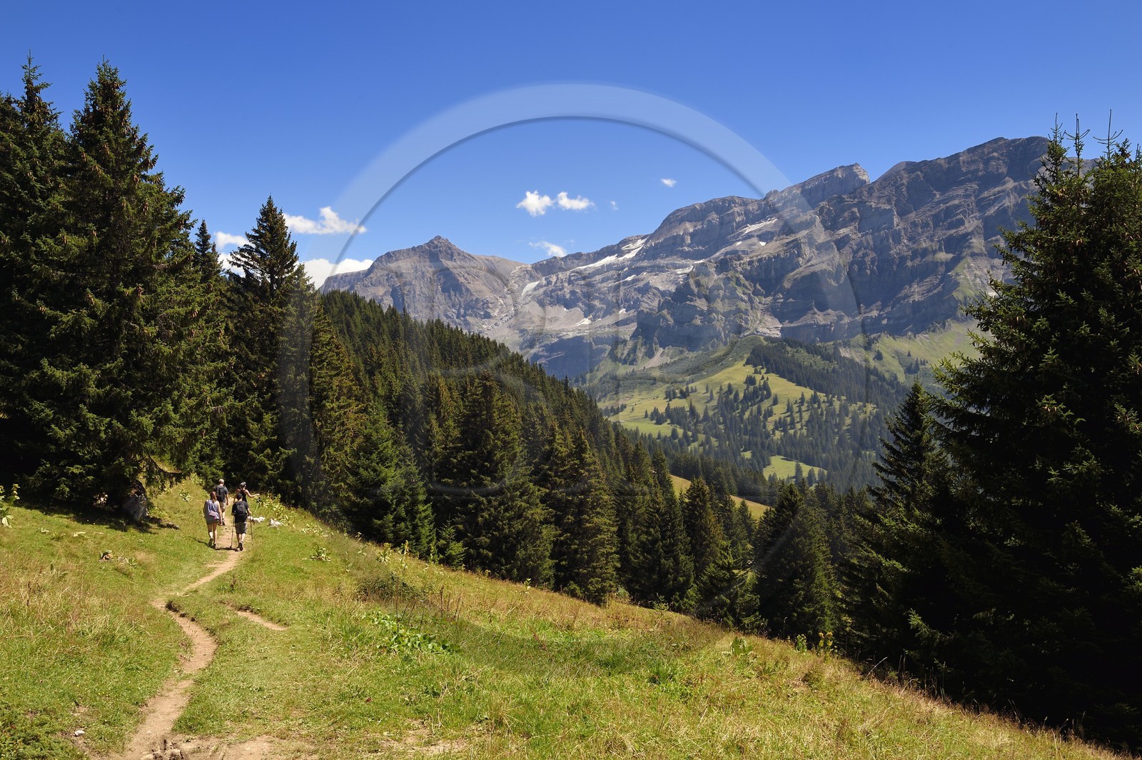 Suisse, canton de Vaud, Villars-sur-Ollon, randonnée du col de Bretaye au col de la Croix en passant par le hameau d'Ensex
