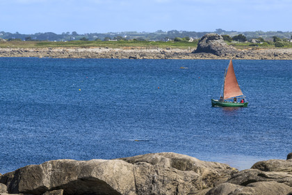 France, Finistère, Abers Country (Pays des Abers), Ile Vierge (Virgin Island) in the Lilia archipelago, traditional sailboat sailing in the Aber Wrac'h estuary