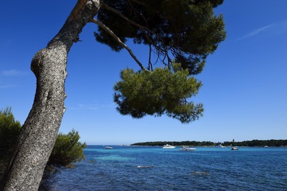 France, Alpes-Maritimes (06), Cannes, Iles de Lérins, Ile Sainte-Marguerite, la côte sud fait face à l'Ile de Saint-Honorat