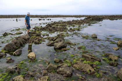 France, Vendée (85), Talmont Saint Hilaire, walls of the ruined fishery on the Veillon foreshore, Jack Guichard