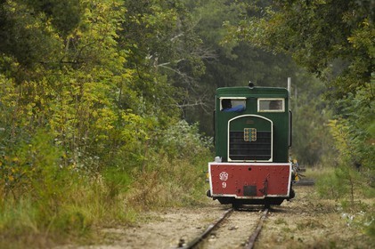 France, Charente-Maritime (17), Ile d'Oléron, pointe de Maumusson, petit train de Saint-Trojan-Les-Bains