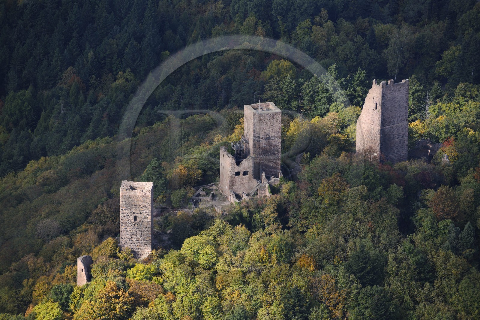 France, Haut-Rhin (68), les trois donjons d'Eguisheim dans le massif des Vosges (photo aérienne)