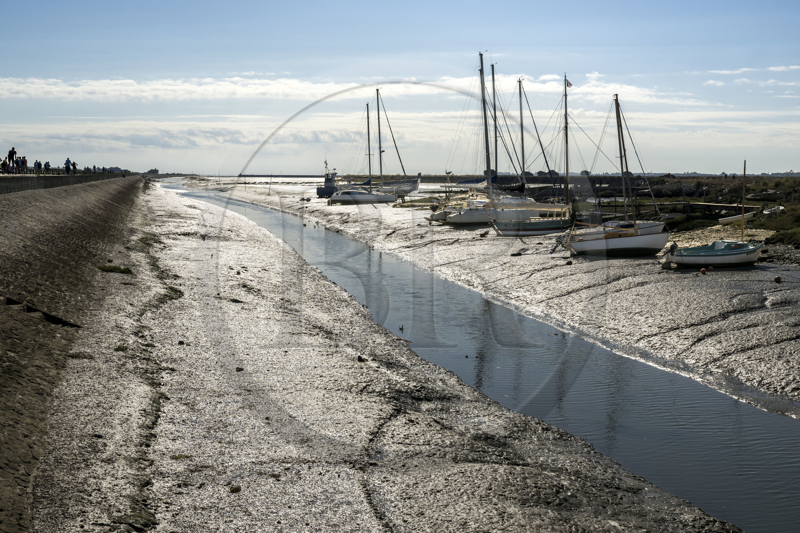 France, Vendée (85), Ile de Noirmoutier, Noirmoutier-en-l'Ile, port d'échouage dans l'Etier du Moulin et le canal longeant la chaussée Jacobsen