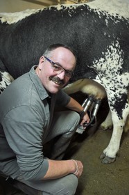 France, Haut Rhin, Kruth, ferme auberge marcaire du Schafert (farmhouse inn Schafert), Serge Sifferlen milking his Vosges cows