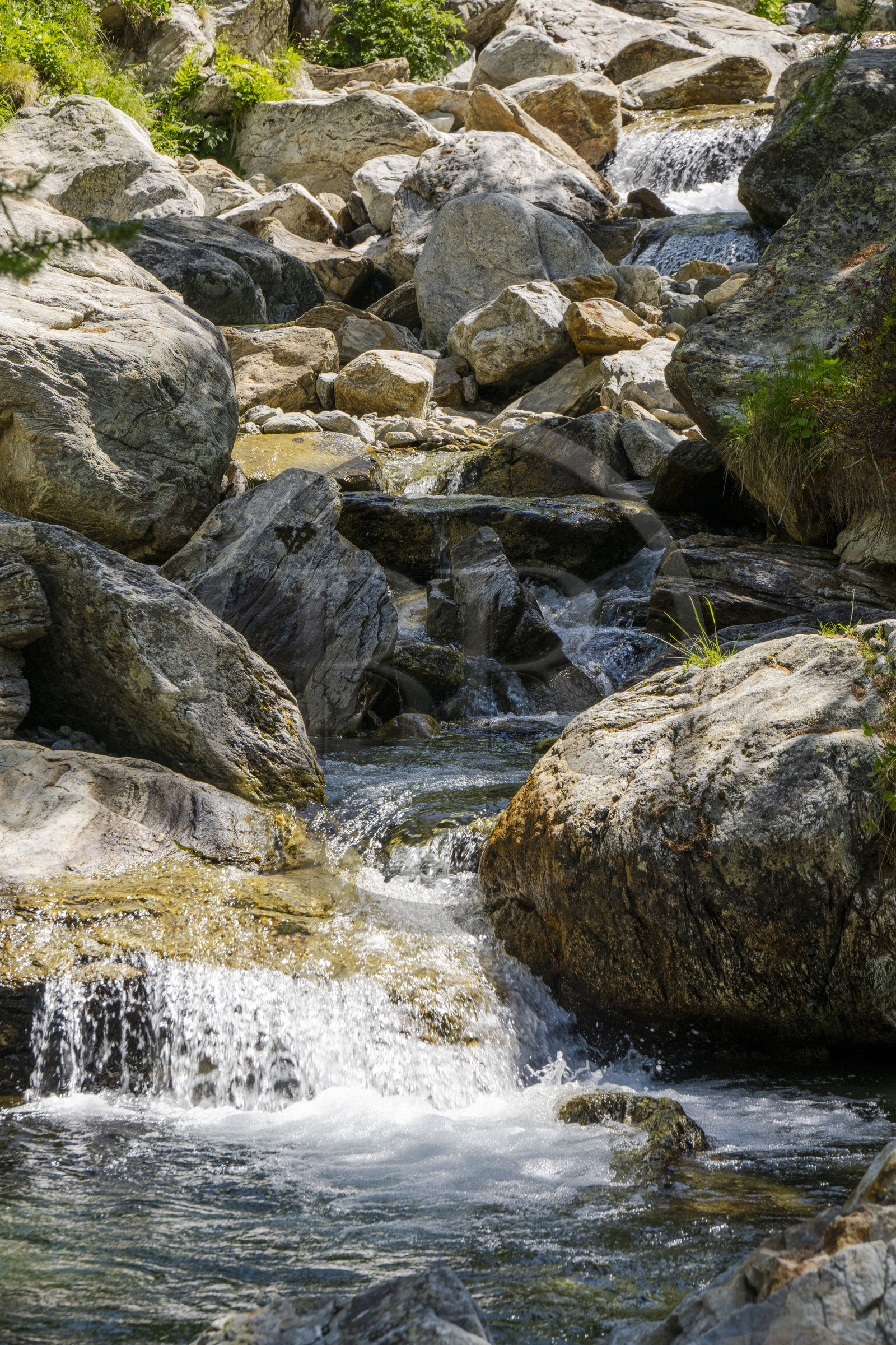 France, Alpes-Maritimes (06), parc national du Mercantour, Haute-Vésubie, Saint-Martin-Vésubie, Val du Haut Boréon, la rivière du Boréon