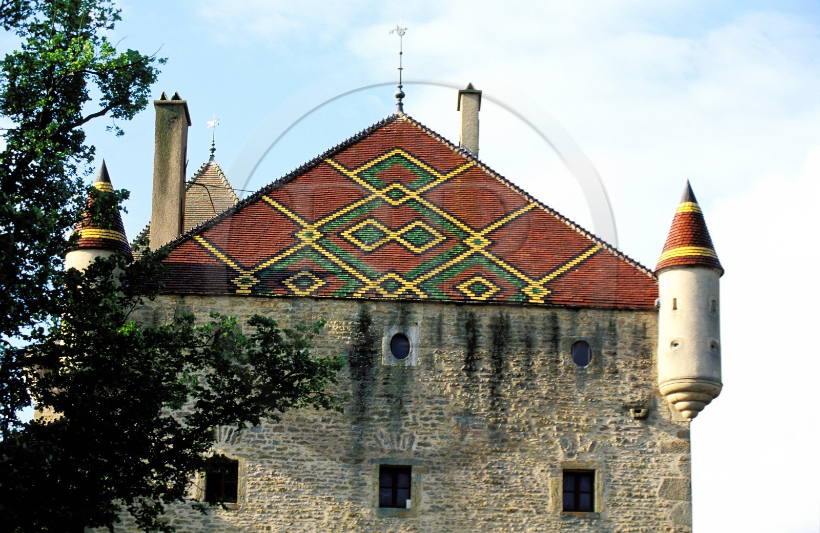 France, Saône-et-Loire (71), château de Pierreclos (XIIème et XVIIème) tuiles vernissés