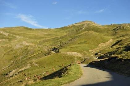 France, Hautes-Pyrénées (65), Saint-Lary-Soulan, route qui monte au col de Portet