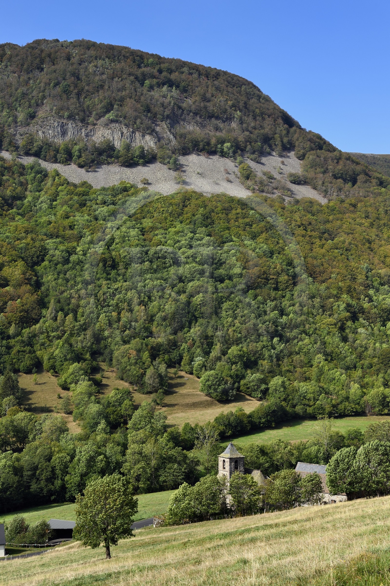 France, Cantal (15), Parc Naturel Régional des Volcans d’Auvergne, vallée de Brezons, hameau du Bourguet et le Puy Gros en arrière plan