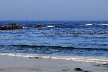 United States, California, 17 Mile Drive, Spanish Bay