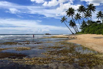 Sri Lanka, Province du Sud, Galle, plage du Jetwing Lighthouse Hotel