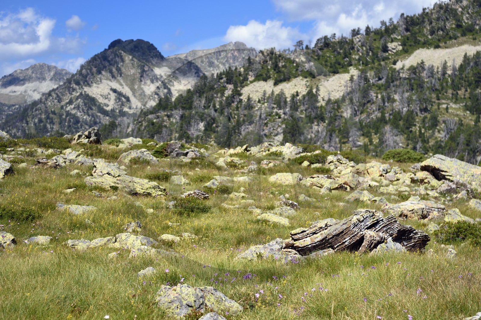 France, Hautes-Pyrénées (65), Saint-Lary-Soulan et Vielle-Aure, randonnée sur une variante du GR10 entre le col de Portet et les lacs de Bastan en bordure de la réserve naturelle de Néouvielle