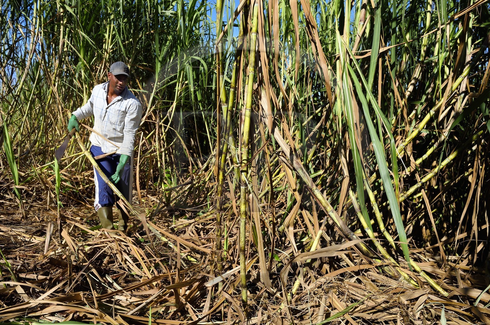 France, Ile de la Reunion, Petite-Ile,