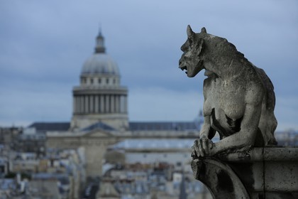 France, Paris (75), île de la Cité, la cathédrale Notre-Dame, une chimère observent le Panthéon