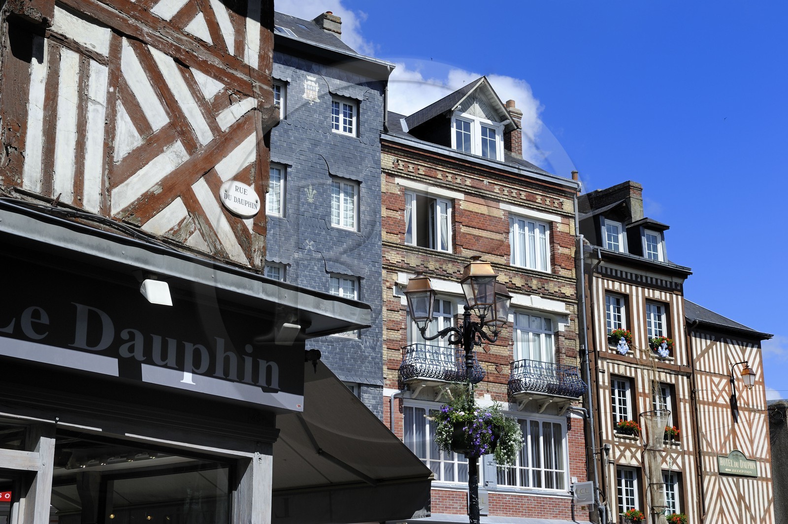 France, Calvados (14), Honfleur, maisons traditionnelles à colombages dans la rue du Dauphin