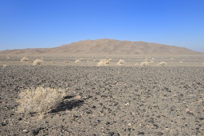 Iran, Province de Yazd, désert du Dasht-e Kavir, Moghestan, massif dunaire dont la plus haute dune atteint les 200 mètres