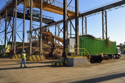 France, Ile de la Reunion, Saint-Pierre, Grands Bois, un des 11 centres de réception et de collecte de la canne à sucre aussi appelés Balance, les tracteurs amènent depuis les champs la canne dans des remorques, elle est ensuite pesée et chargée dans de grands camions appelés cachalots pour être acheminée vers l'usine sucrière du Gol