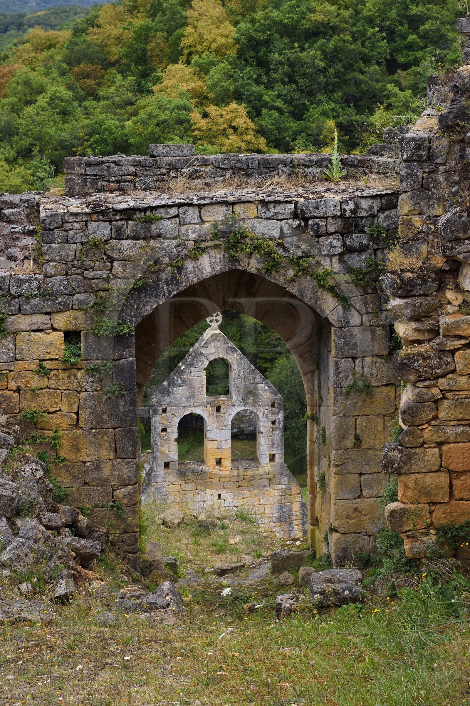 France, Dordogne, Perigord Noir, Les Eyzies de Tayac Sireuil, La Beune river Valley, Commarque Castle ruins