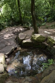 France, Ille-et-Vilaine (35),  forêt de Brocéliande, la fontaine de Jouvence