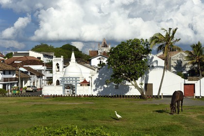 Sri Lanka, Province du Sud, Fort de Galle, classé Patrimoine Mondial de l'UNESCO, temple bouddhiste Sri Sudharmalaya dans le fort, en arrière plan la All Saints' anglican Church