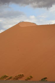 Namibie, région d'Hardap, désert du Namib, parc national du Namib-Naukluft, Erg du Namib classé Patrimoine Mondial de l'UNESCO, dunes de Sossusvlei, randonneurs sur la dune 45