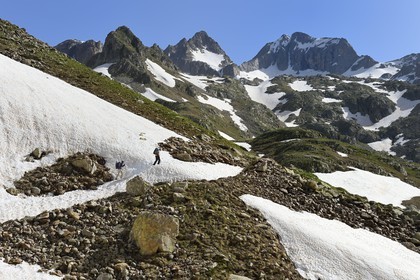 France, Alpes-Maritimes (06), parc national du Mercantour, Haute-Vésubie, randonnée dans le vallon de la Madone de Fenestre, franchissement d'un névé, le massif du Gélas (3143m) qui marque la frontière avec l'Italie