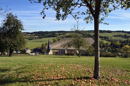 France, Orne (61), Pays d'Auge, village de Camembert