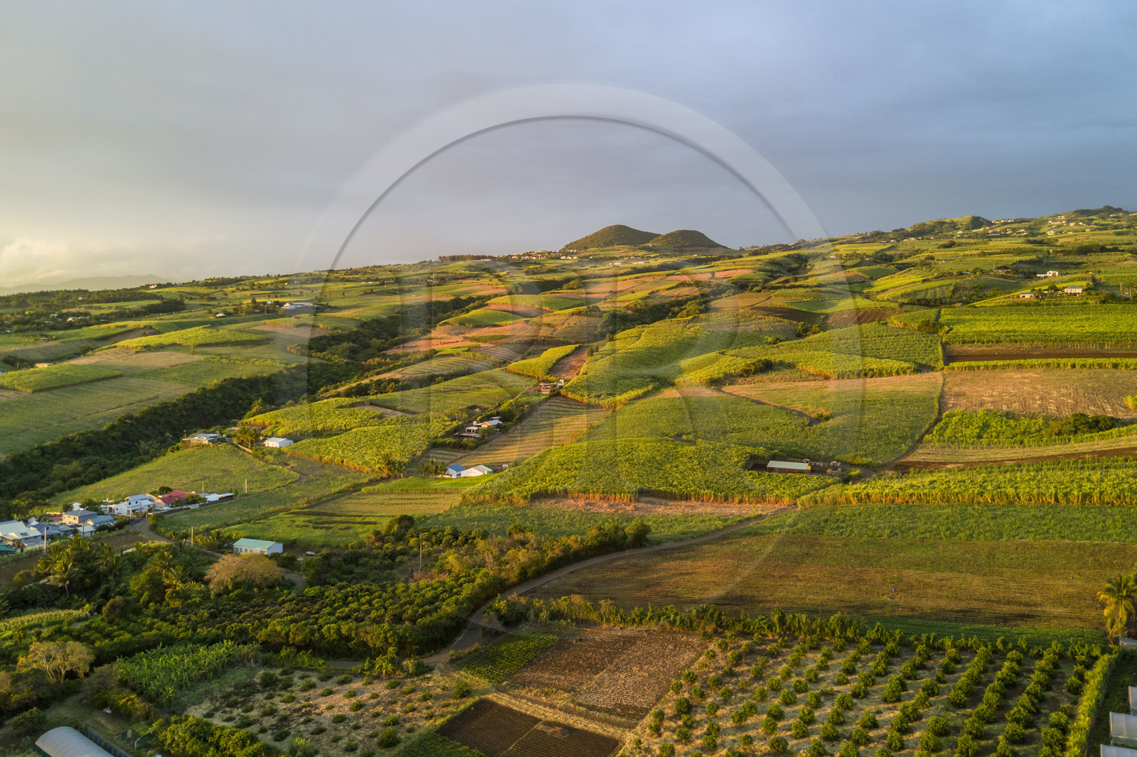 France, Reunion island (French overseas department), Petite-Ile, sugar cane fields on the slopes of the Piton de la Fournaise volcano and piton de Mont Vert in the background (aerial view)