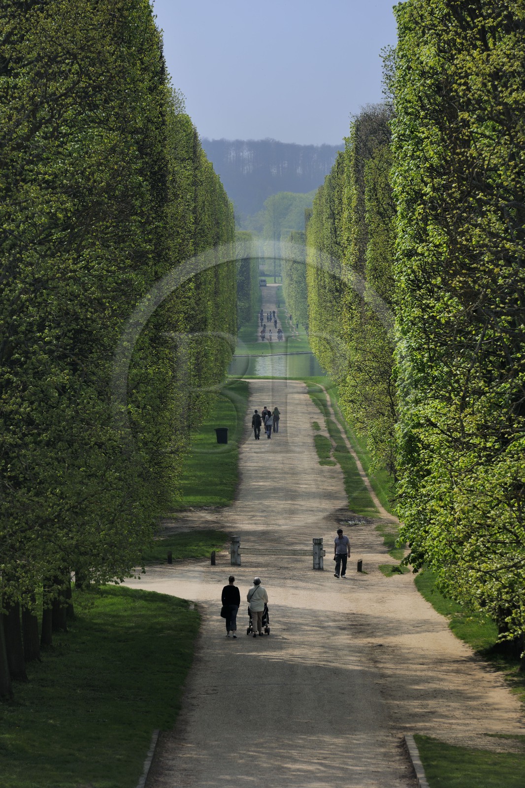 France, Yvelines (78), parc du château de Versailles, classé Patrimoine Mondial de l'UNESCO, allée menant au Grand Canal